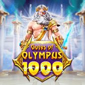 Cổng Olympus 1000 33wi